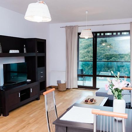 Nature Escape Apartment ブラショフ エクステリア 写真