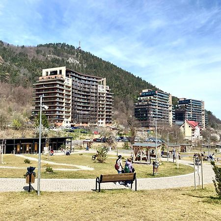 Nature Escape Apartment ブラショフ エクステリア 写真