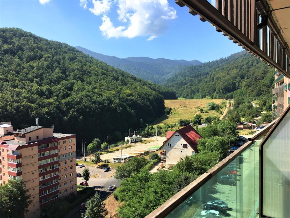 Nature Escape Apartment ブラショフ エクステリア 写真