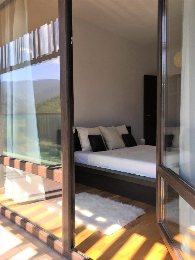 Nature Escape Apartment ブラショフ エクステリア 写真