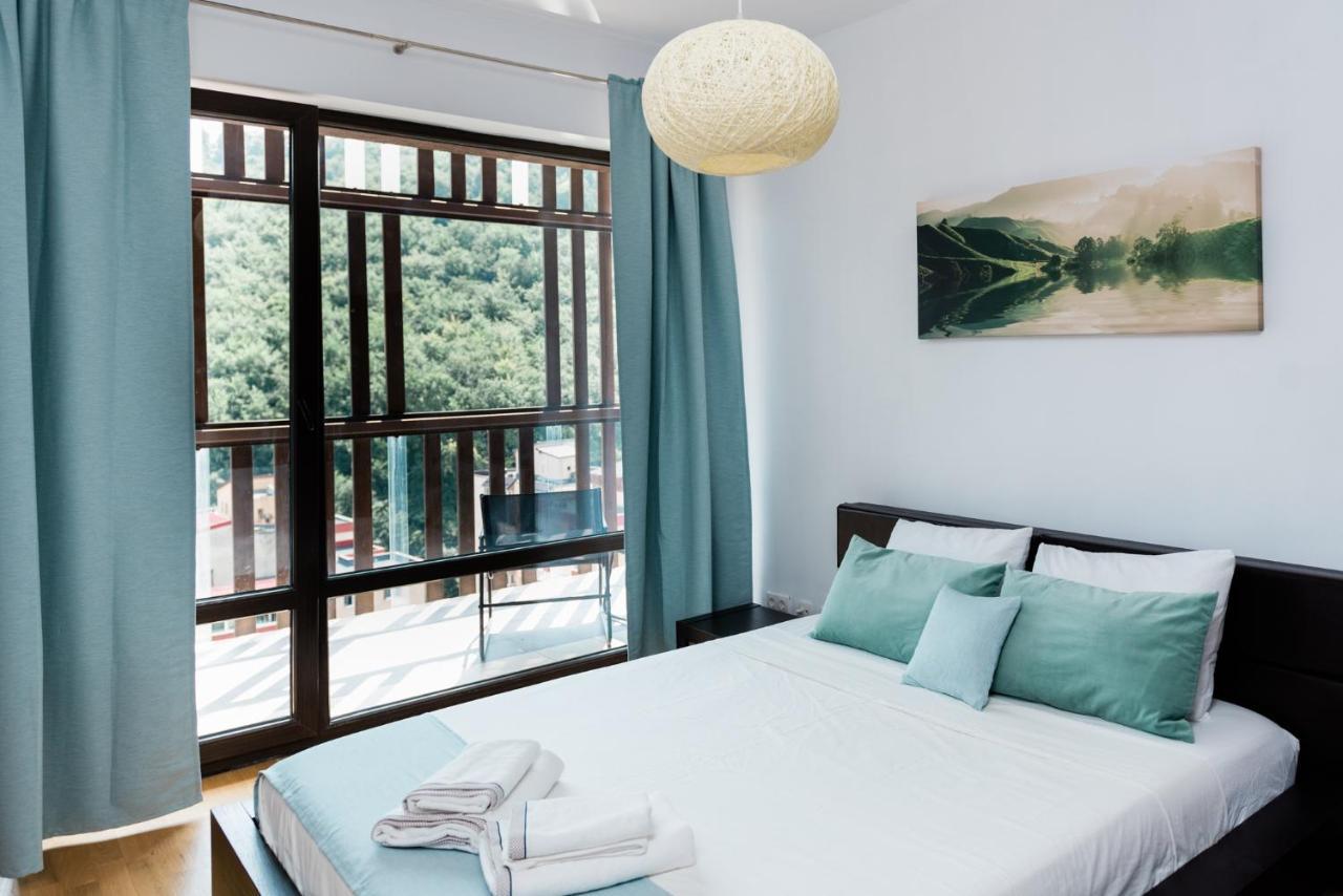 Nature Escape Apartment ブラショフ エクステリア 写真