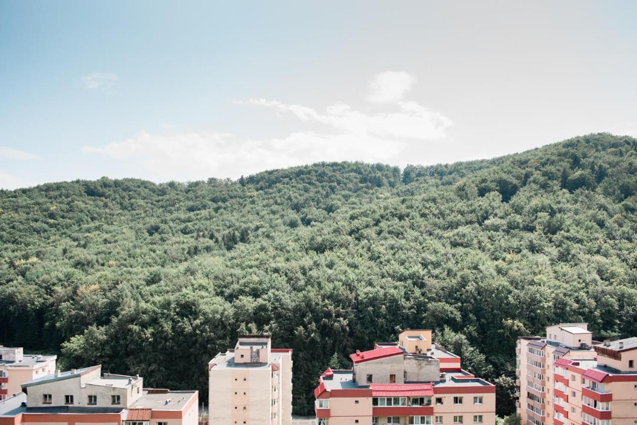 Nature Escape Apartment ブラショフ エクステリア 写真