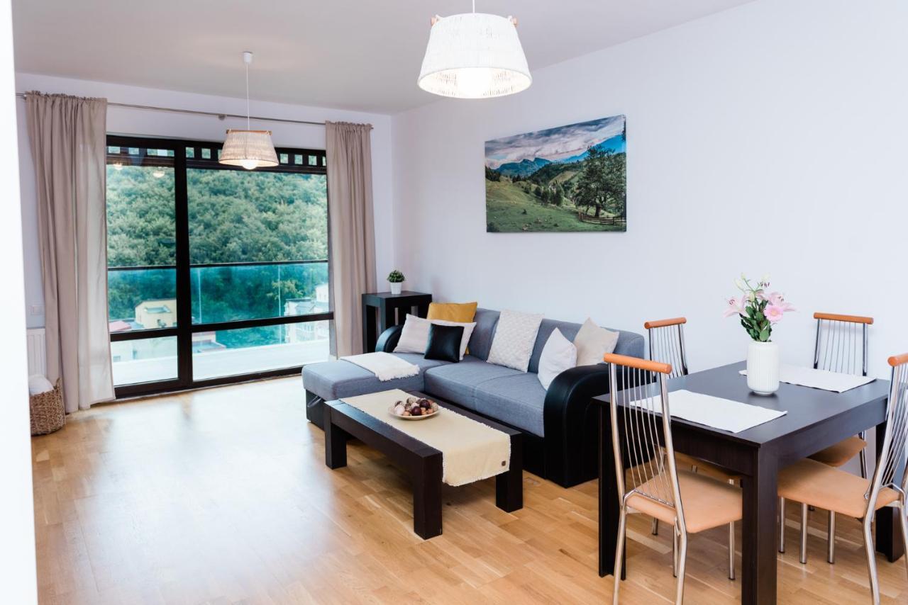 Nature Escape Apartment ブラショフ エクステリア 写真